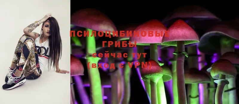 Псилоцибиновые грибы Magic Shrooms  купить  сайты  Борзя 